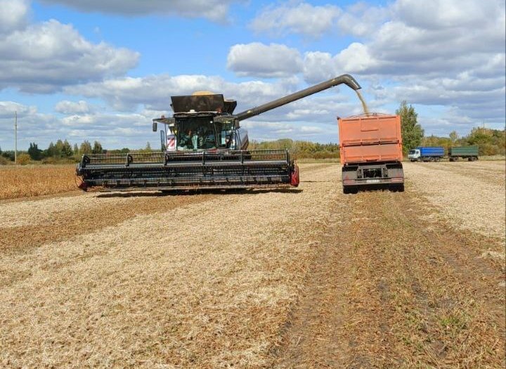 Саратовские сельчане не жалуются на нарушение трудовых прав